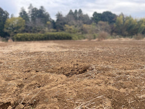 レモン農園用の農地